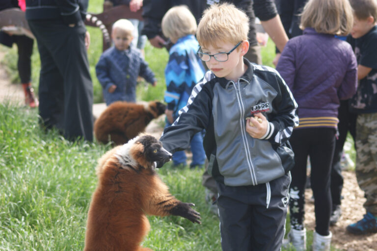 reform Kælder Overvåge Blåvand Zoo - Aktiviteter for børn og zoologisk have i Blåvand.