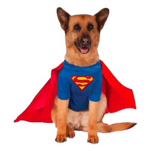 superman kostume til hund